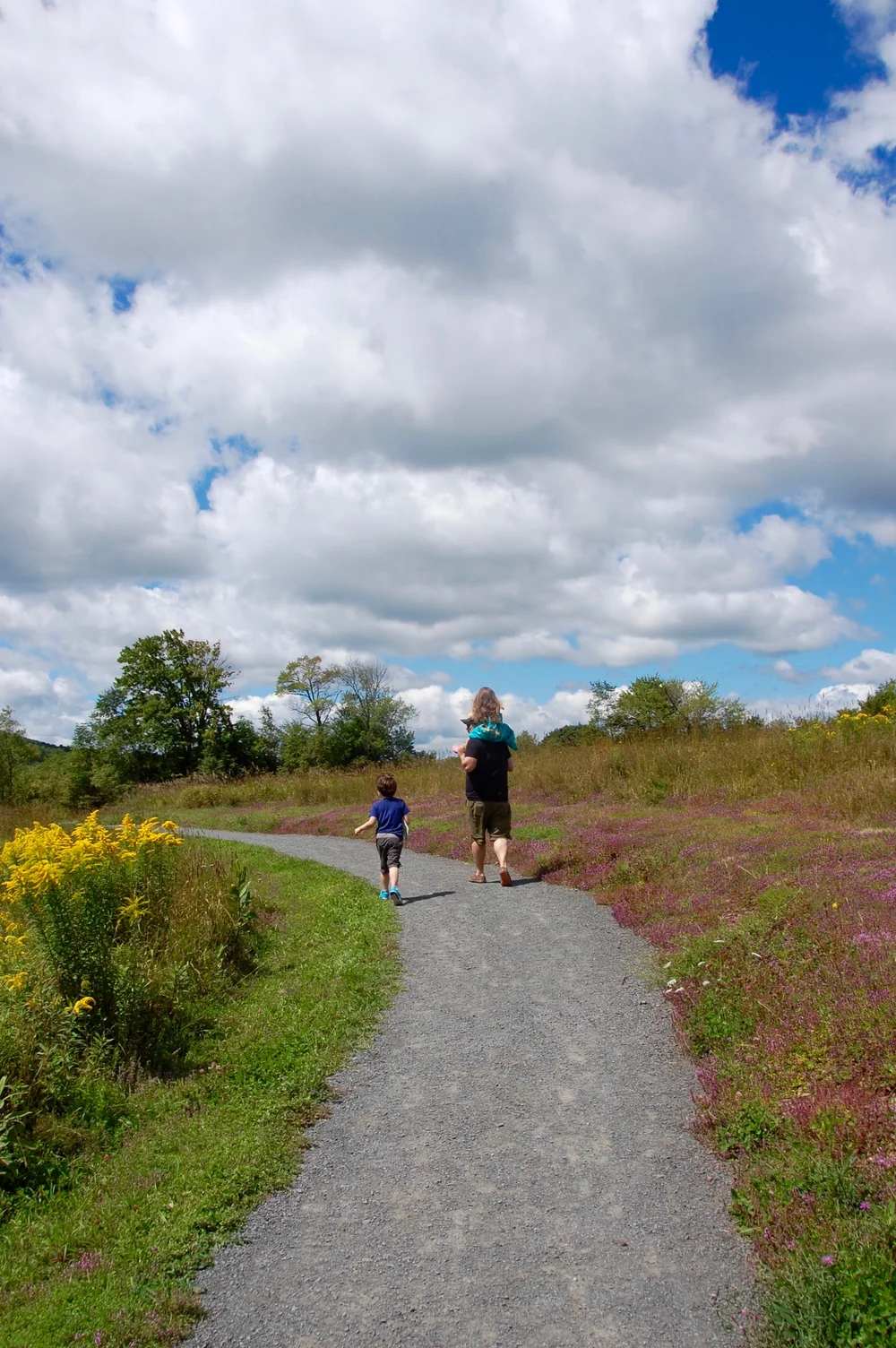 Spectators walking a trail through summer wildflowers
