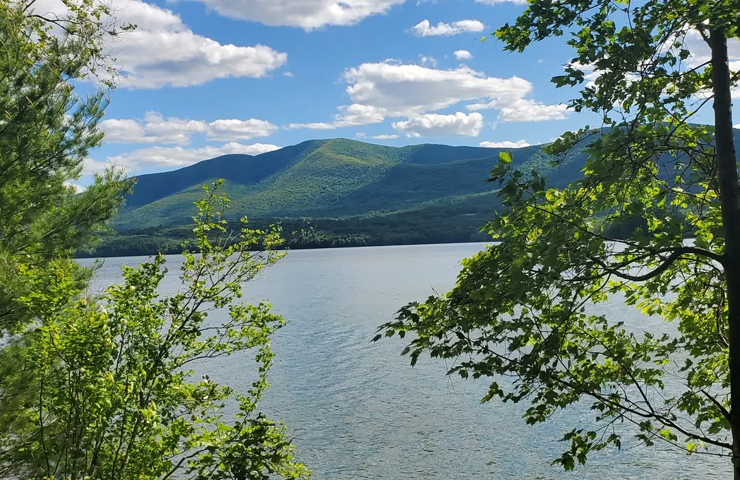 Ashokan Reservoir framed by trees